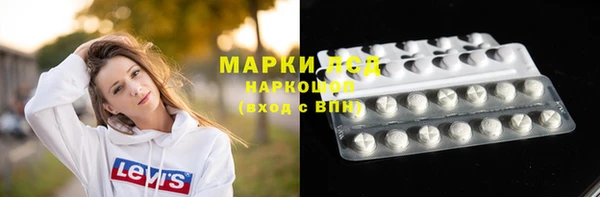 гидра Аркадак