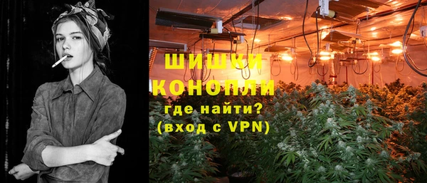 стаф Арсеньев