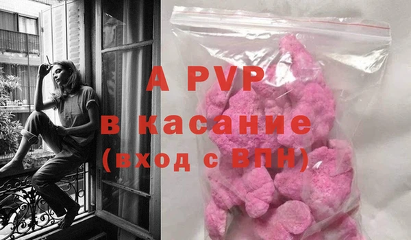 гидра Аркадак