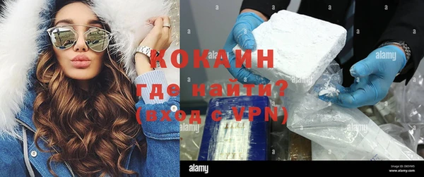стаф Арсеньев