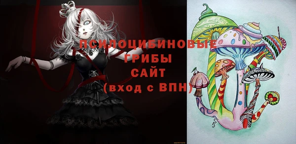 гидра Аркадак