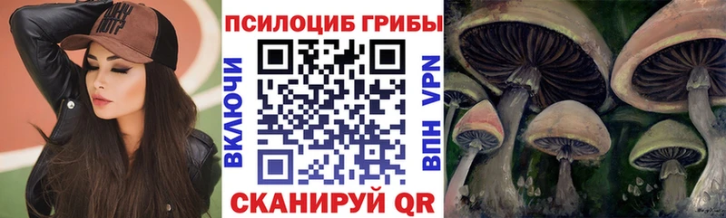 Псилоцибиновые грибы GOLDEN TEACHER  даркнет телеграм  Полесск 